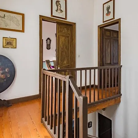 Biniarroga Nou Маон